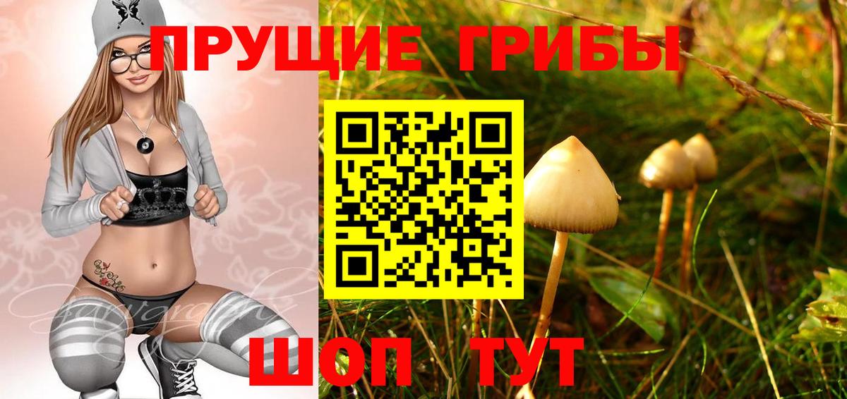 Гусиноозёрск  Псилоцибиновые грибы Cubensis  Вход с VPN  Галлюциногенные грибы Magic Shrooms 